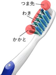 歯ブラシを使った歯の磨きの基本